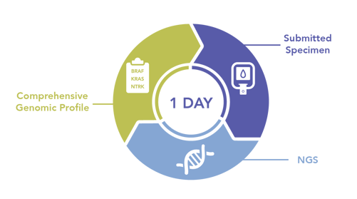 NGS-comprehensive-genomic-profiling-oncomine