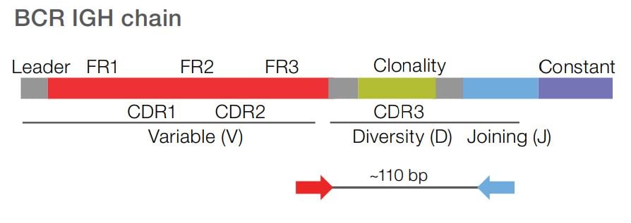 Oncomine-BCR-SR-Assay-Slide2