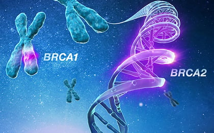 Oncomine-brca-assay-feature