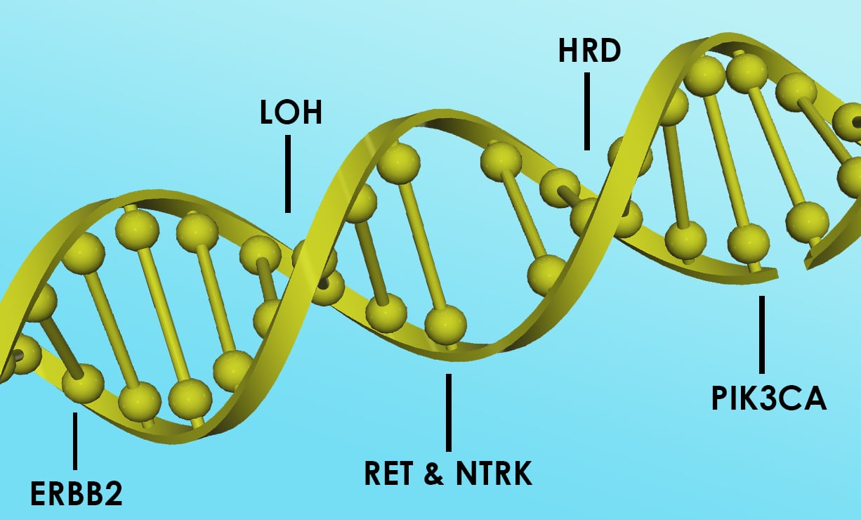 TFS-CLI 17494 DNA Helix only - with text -short
