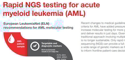 ash24-aml-infographic