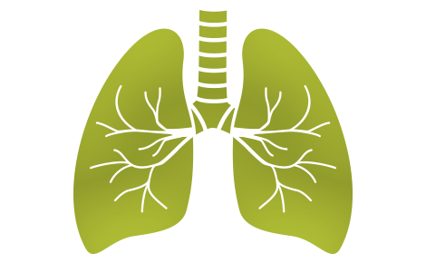 biomarker-lung-her2-ngs