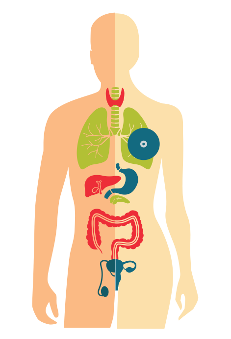 biomarker-testing-body
