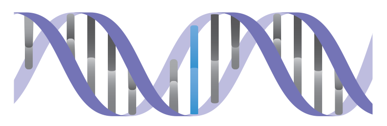 dna-strands