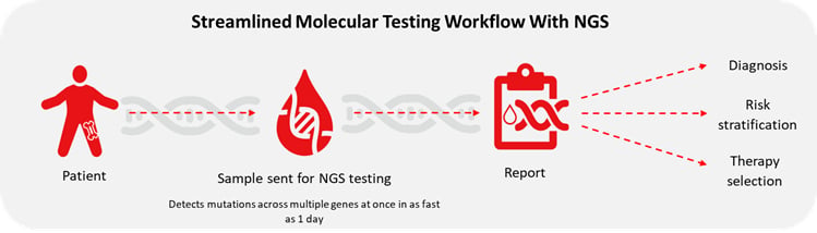 ngs-workflow-rapdid-heme