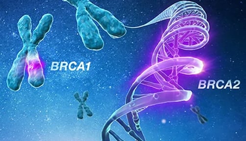 oncomine-assays-page-solid-tumor-brca-gx