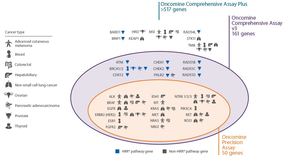 oncomine-solid-tumor-ngs-soutions--cancer-type