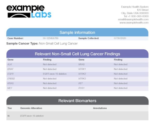 report-example-new